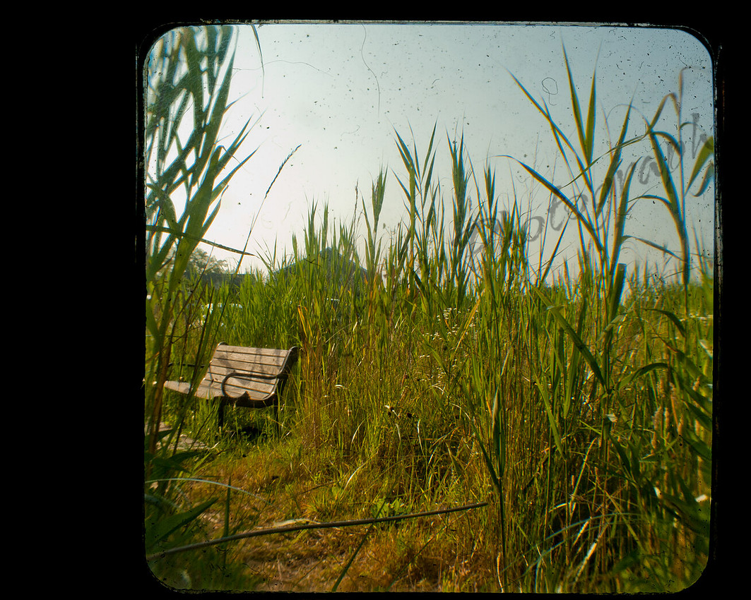 TTV- Wanderings Nantucket 2010 #1